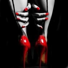 legs2show's profile picture. Just making fun with creating the largest web directory related to legs, stockings, lingerie, fetish ect. with now over 50,000 100% free pictures.