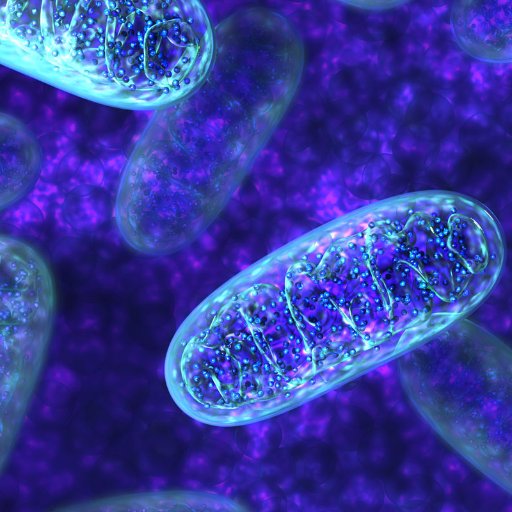 mitoswab's profile picture. A Non-invasive test that analyzes the power of the Mitochondria #Mitochondrialdysfunction