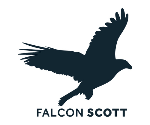 FalconScott is a pioneering digital agency committed to delivering first class video products and digital solutions that will add revenue to your bottom line.