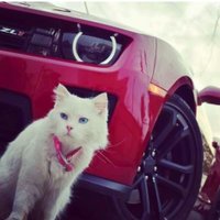 Khaled Al Makawy (@makawy_al) 's Twitter Profile