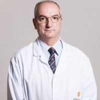 tomas fernandez jaen (@tomasfernandezj) 's Twitter Profile