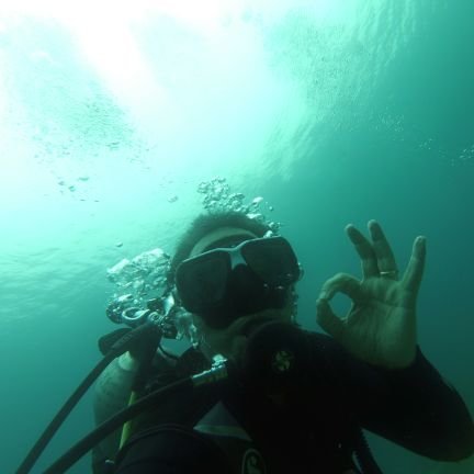 Scuba Diving Zero Profile
