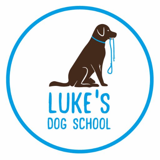 Head Dog Trainer at Luke's Dog School. Where dogs and their owners come to learn. 