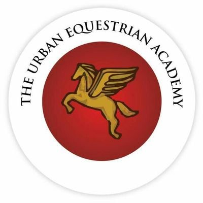 Connecting Inner City Communities to the Equestrian World