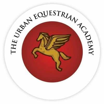 The Urban Equestrian Academy