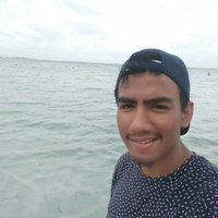 syaugifaridtarmum (@syaugifarid) 's Twitter Profile