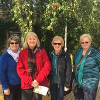 Rosemary Barnes (@rosemaryguide) 's Twitter Profile Photo