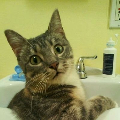 NuJarAMP's profile picture. 