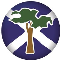 Scotland's Finest Woods(@ScFinestWoods) 's Twitter Profile Photo