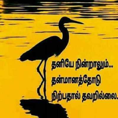 d13pMFHTXV5Q9xT's profile picture. மரணம் ஒரு தடவை தான் அதற்க்காக மானத்தை விற்று சீவிக்க முடிமா???