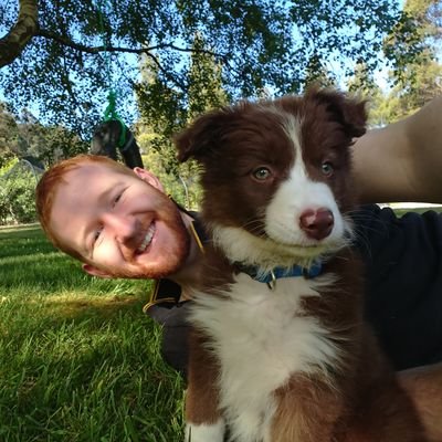 Timmy_Oz's profile picture. Gamer, driver, dreamer.