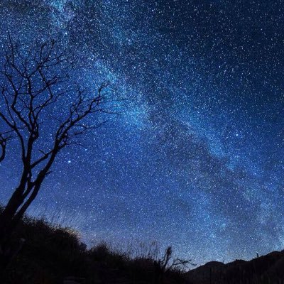 Yeternity7's profile picture. 