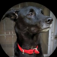 R Srinivasan (@srinivasanravi) 's Twitter Profile Photo R Srinivasan (@srinivasanravi) 's Twitter Profile Photo