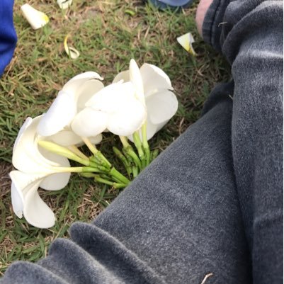 Rifsana1's profile picture. 