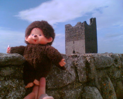 EoghanYoung's profile picture. 