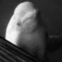 fishmillers0987's profile picture. Warehouse. 구독계. 해치지 않아요. 아무말대잔치 계정.