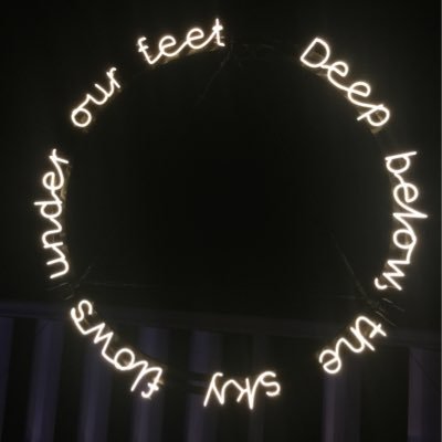 shells881's profile picture.