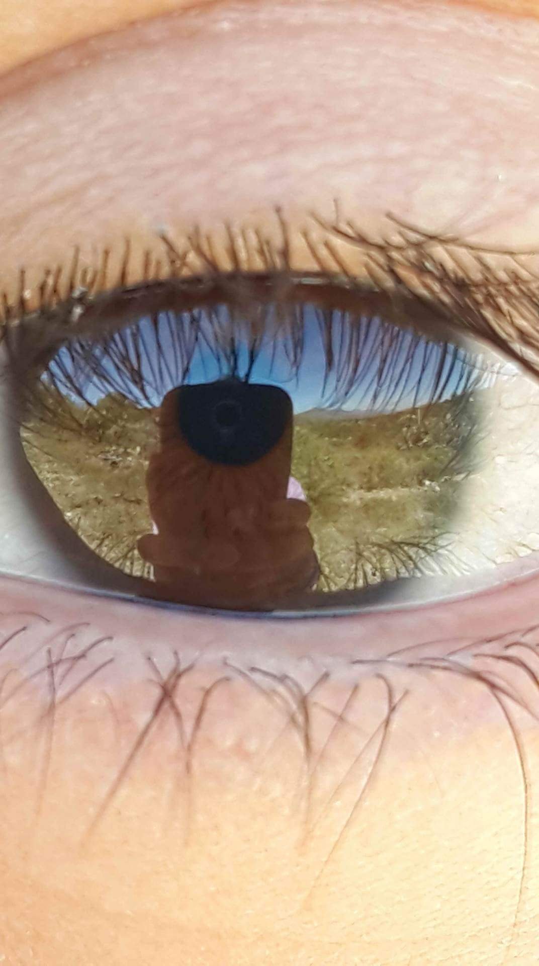 Guerorey2's profile picture. 