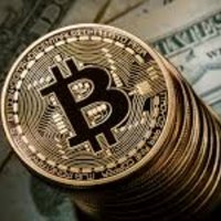 Bitcoin Turk (@turk_btc) Twitter profile photo