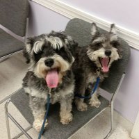 JC Enders (@jcenders) 's Twitter Profile Photo