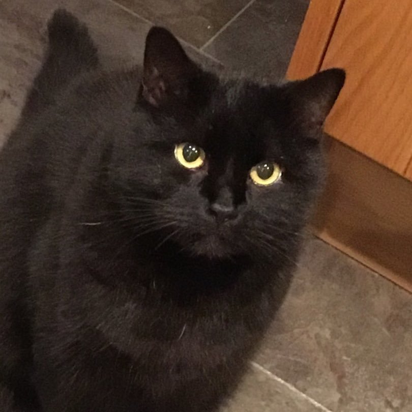 goodsimplelife's profile picture. Focusing on those simple things that make me happy! Instagram: searchforthesimplethingsinlife