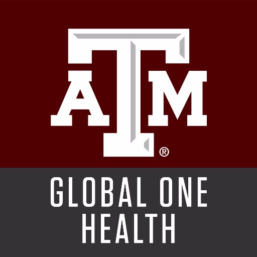 TAMUOneHealth's profile picture. Texas A&M Global One Health | Multiple disciplines working together applying #OneHealth to Global Health and Security. https://t.co/utyQYZ49dc