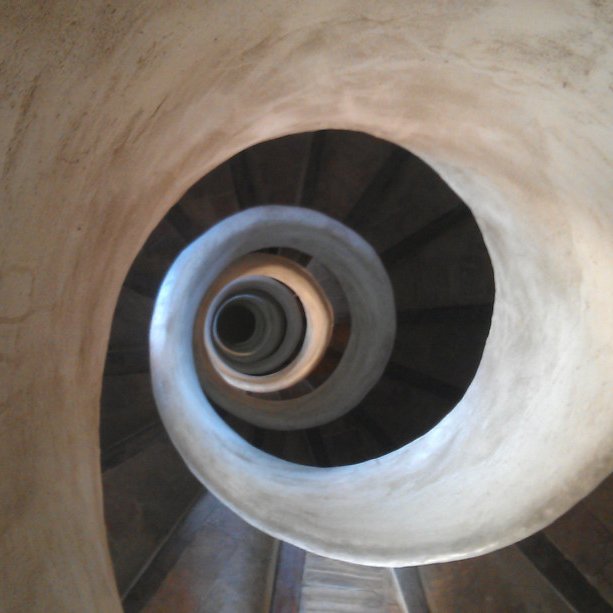 The dreaming machine Profile