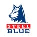 Steel Blue Boots UK (@SteelBlueUK) Twitter profile photo