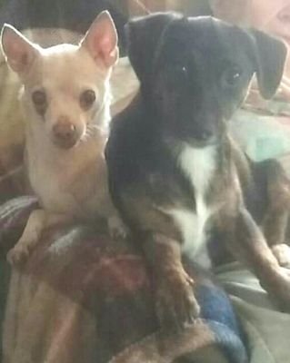 Shannon78064624's profile picture. 