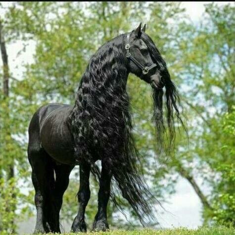 nooffffff2's profile picture. سبحان الله وبحمده سبحان الله العظيم