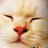 mai_skt21