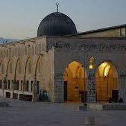 almgroh66's profile picture. ‏هم احياء ولكن الصفات الجميلة عندهم ماتت