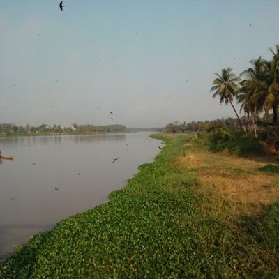 GnimavoMarcus's profile picture. 