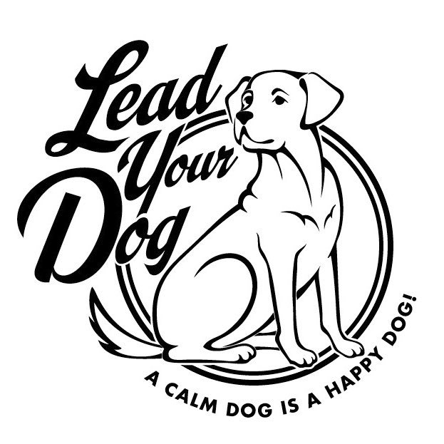 Lead Your Dog