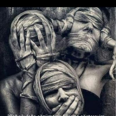 GokYosun's profile picture. Antika Kitap Kafe