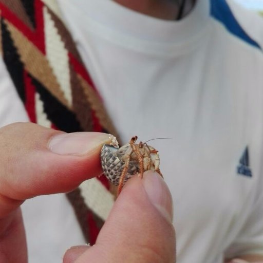 RealEoLo's profile picture. 