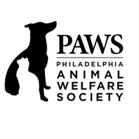 PAWS(@phillypaws) 's Twitter Profile Photo