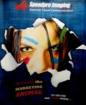 SpeedproOrlando's profile picture. The Premier Wide Format Imaging Company! We print the BIG stuff!  Banners, Wall/Window Graphics, Displays, Vehicle Wraps, you name it.   407-854-4003