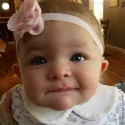 susancrowe123's profile picture. I love books, chalk painting, vegan food and Corbin and Quinn!