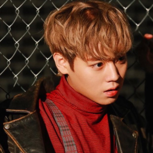 PARK JIHOON — 98liner, shy alpha who proudly reaches 175cm of height.
