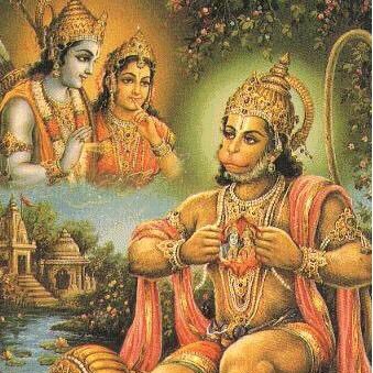 iamnatus's profile picture. 