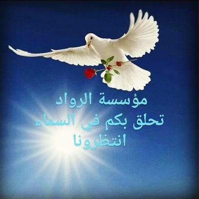 alyhasan1959's profile picture. ثقة .....خبرة.......امانة