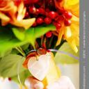 Jaime Lindahl - @jaimemsmith77 - Twitter