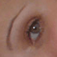 NotLadylike (@notladylike) Twitter profile photo