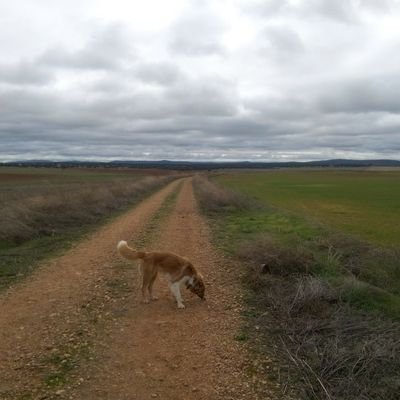 ipermat's profile picture. 