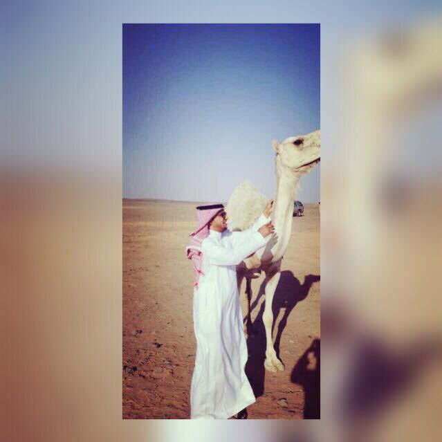 أعلامي مرخص من الهيئة العامة لنتظيم الإعلام و مسوق عقاري معتمد حاصل على فال من الهيئة للعقارات برقم( 1100018325) … استقبل عروضكم العقارية من الملاك والوكلاء ..
