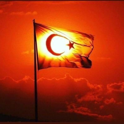 ozgurbozbas's profile picture. 