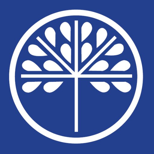 RathdownSports's profile picture. 