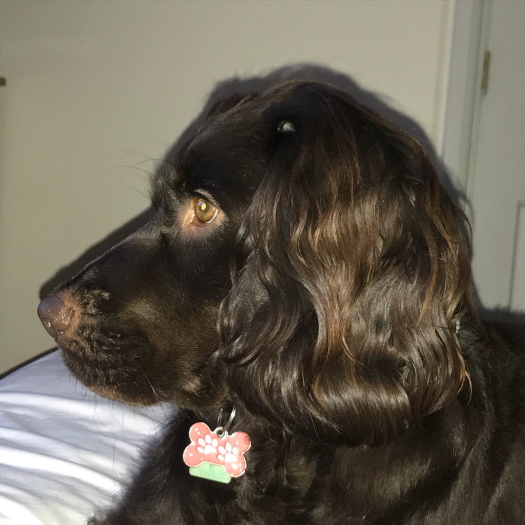 fjatrix's profile picture. 