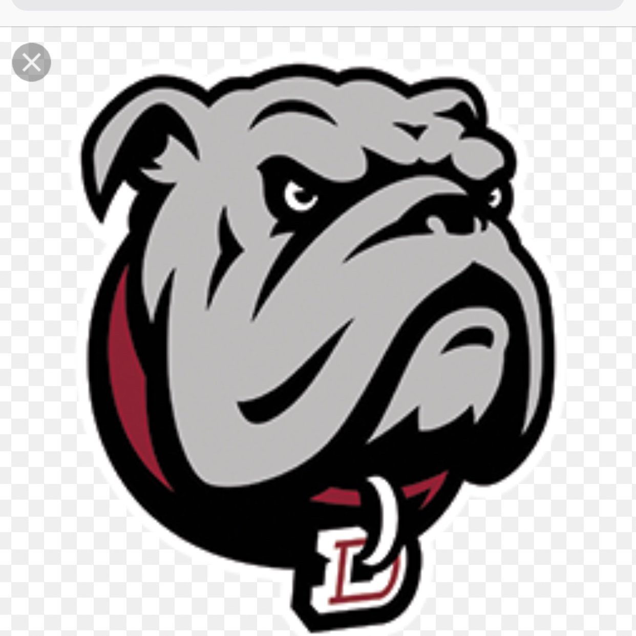 The Official Twitter Account of the Dean College Bulldogs Football Team. #BulldogNation New Incomer into NCAA D3 ECFC Football Conference